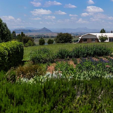 Lavender Hill Country Estate And Wedding Venue Pensionat Bethlehem Exteriör bild