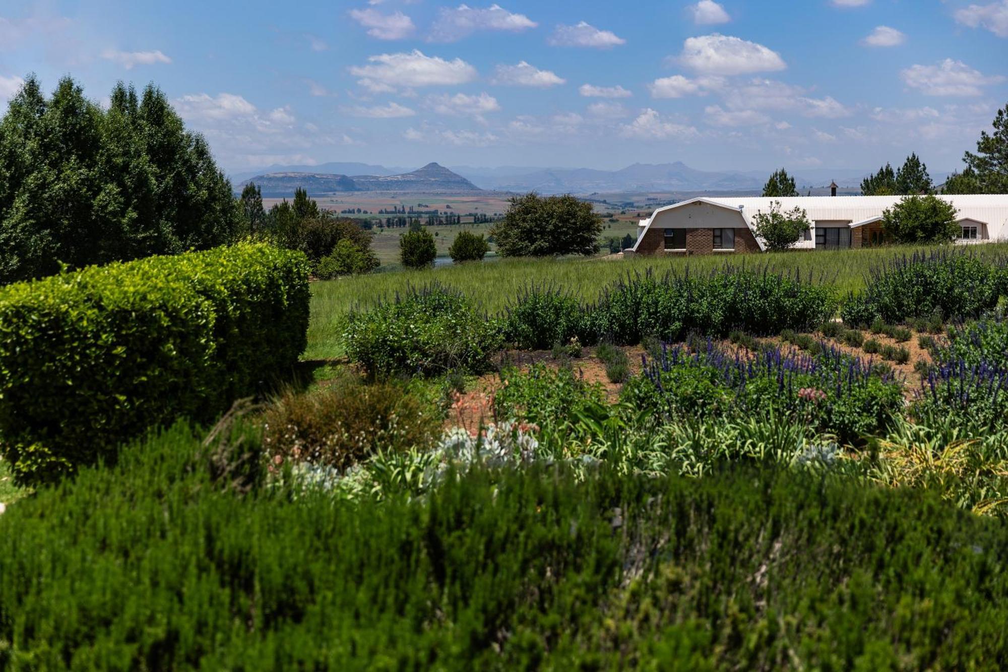 Lavender Hill Country Estate And Wedding Venue Pensionat Bethlehem Exteriör bild